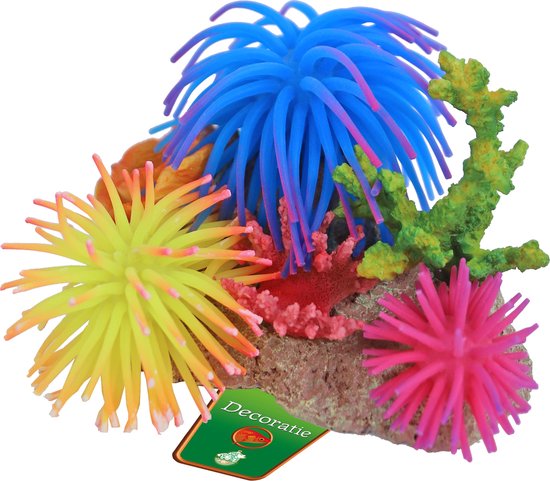 Boon bloem met rots en schelp