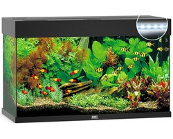 Juwel Rio 125 LED