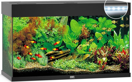 Juwel Rio 125 LED