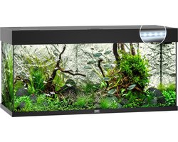 Zoutwater aquarium beginnen