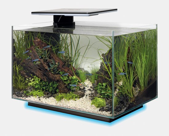 SuperFish Quadro 40 Multi Colour
