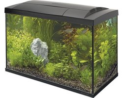 SuperFish Start 100 Tropical Kit